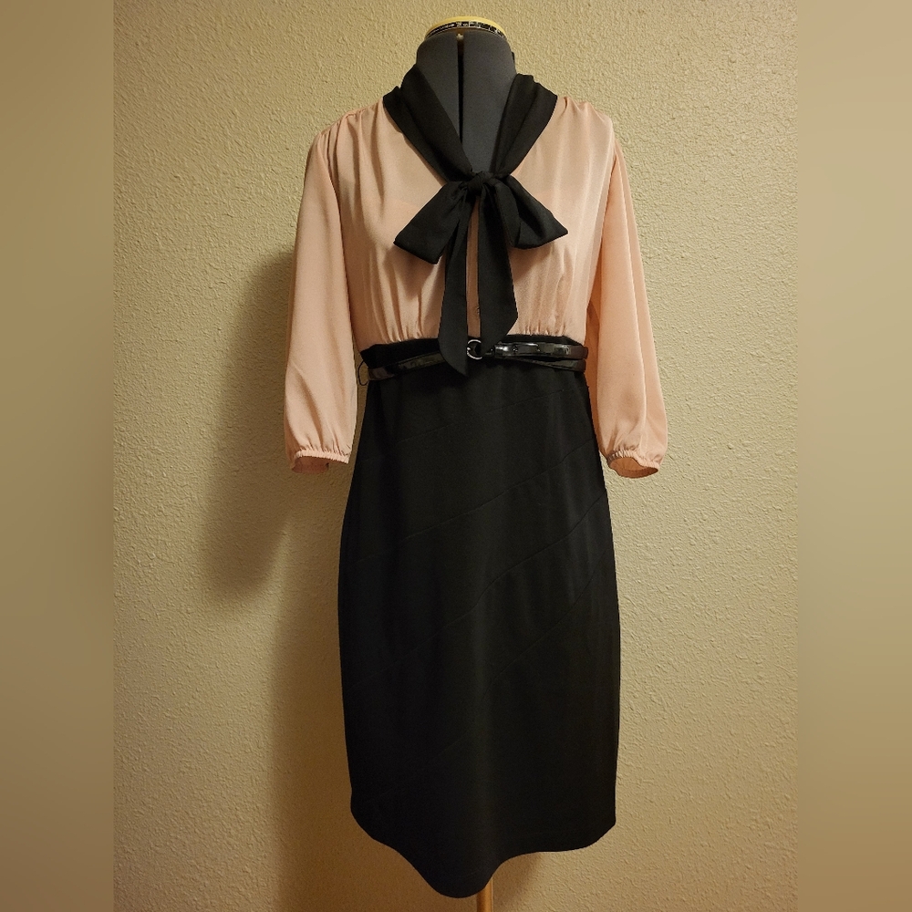 ALYX Limited Blush & Black Dress Size 6